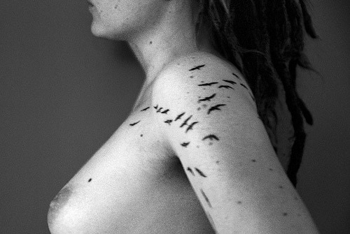 love birds tattoo. pictures Love Bird Tattoos