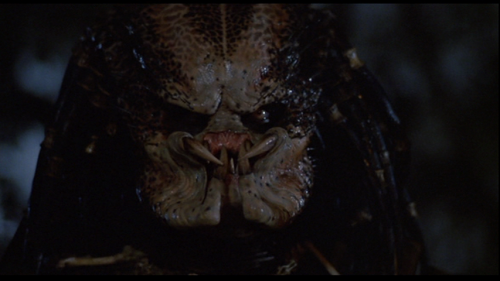 jean claude van damme predator. Predator (as portrayed by Kevin Peter Hall) Jean Claude Van Damme actually 