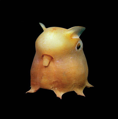 deep sea creatures figure