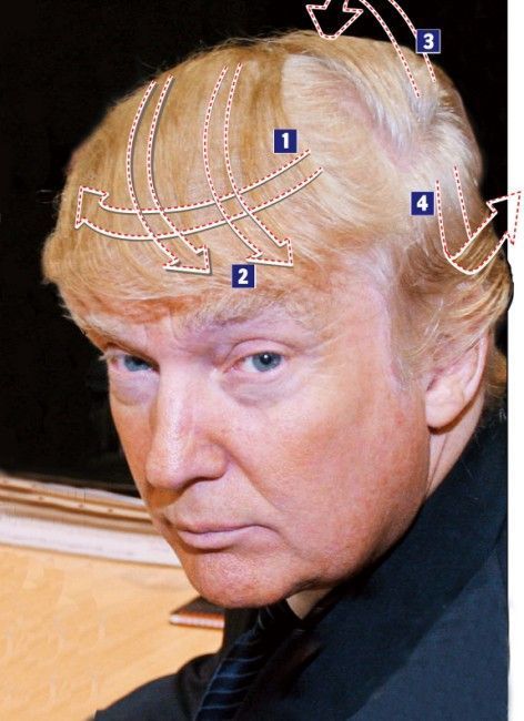 donald trump hair blowing in the wind. minders, Donald