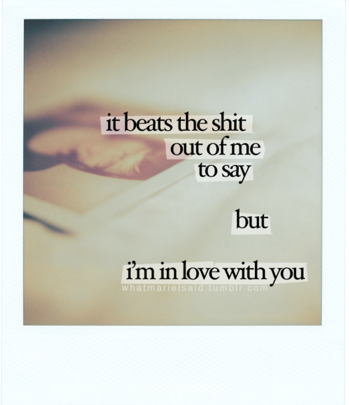Cute Tumblr Quotes. it beats the shit out of me .