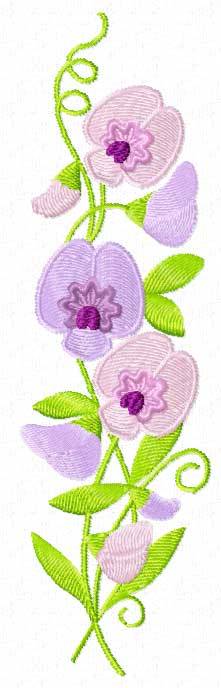 My next tattoo. The sweet-pea flower on my right shoulder. I don&