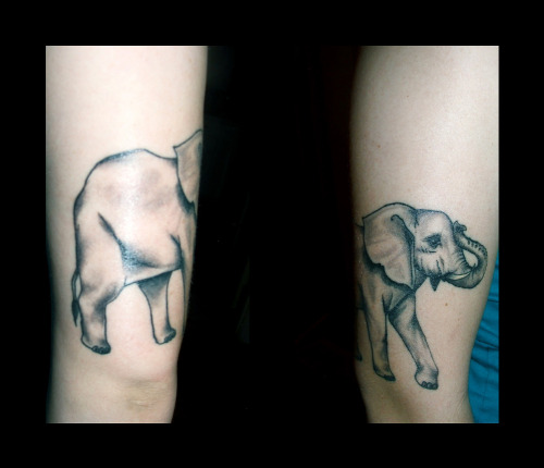 elephant tattoo. I want an elephant tattoo.