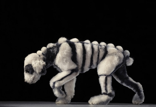 pratt:  Tim Flach: The possibilities for dog-grooming are endless! Check out Tim Flach’s portfolio!