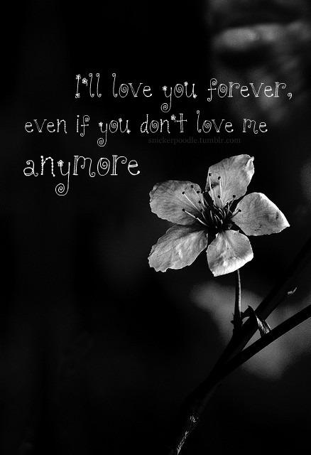 love you forever quotes. I#39;ll love you forever,