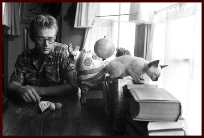 James with Marcus, his cat, a gift from Elizabeth Taylor.