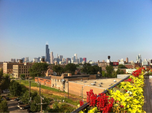 steveisthereason:  It’s a beautiful day in chi-town  I LOVE IT HERE! 