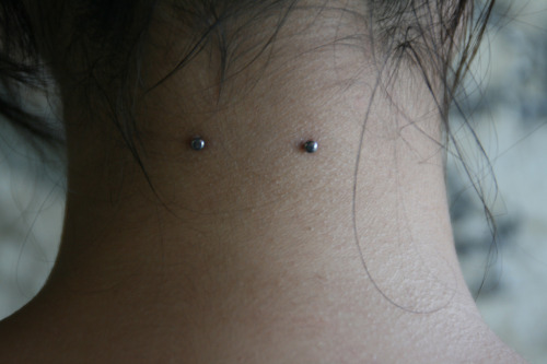 Posted August 29, 2010 at 10:19pm in nape piercing surface piercing || home