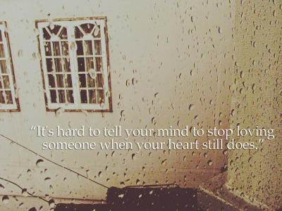 love and rain quotes. tokissintherain reblogged this