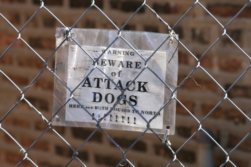 Beware of Dog signs posted