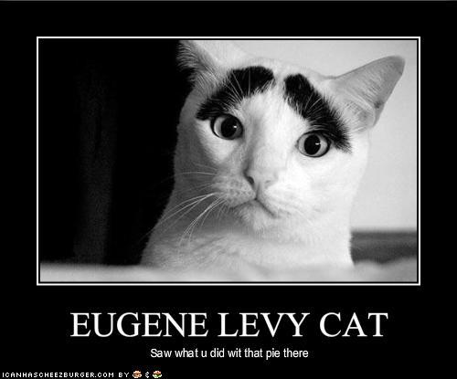 Eugene Levy Cat