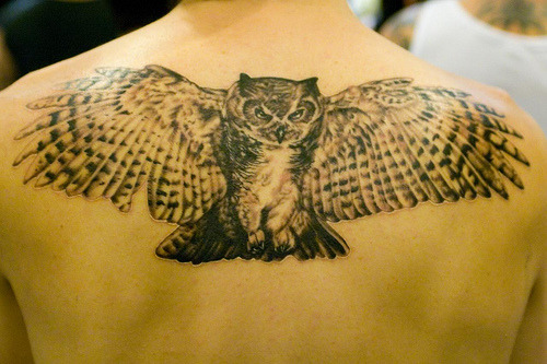 fuck yeah owl tattoos