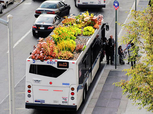 green roof system designed for buses by Marco Castro
