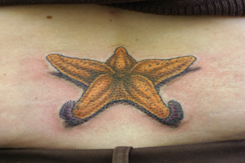 Tags starfish tattoo nautical tattoo 