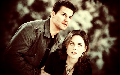 Booth and Brennan (2x11) | Wallpaper | 1280x800