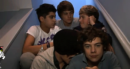 1direction is so cute.  pinch-your-cheeks cute, not poke-your-cheeks cute.
