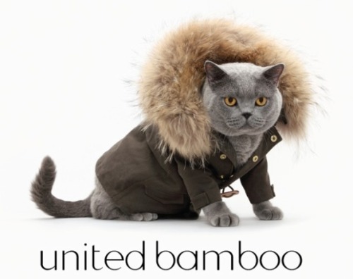 United Bamboo Calendar. United Bamboo#39;s 2011 Cat