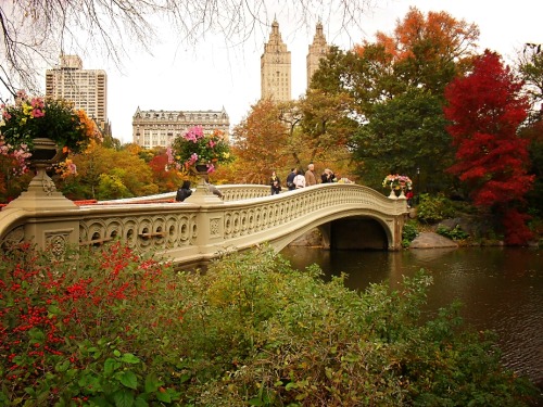 bow bridge in central park nyc. Bow Bridge in late Autumn.