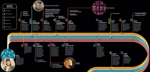 Here is a chart from Wired Mag showing the spectacular scientific history of HeLa cells, the &#8220;immortal&#8221; tumor cells taken from Baltimore woman Henrietta Lacks. Henrietta&#8217;s cells were used to create the polio vaccine, among about a million other incredible human achievements in science and medicine.
On a note unrelated to design, RadioLab has produced incredible podcast on Henrietta Lacks and I highly recommend it. Stream it here.