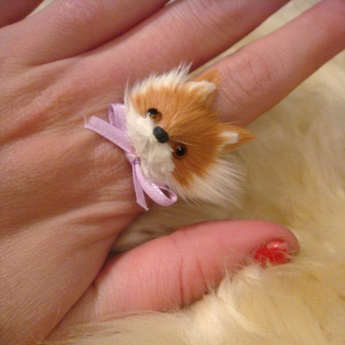 Fox Head Ring by imyourpresent on Etsy this is borderline tacky but i love it. 