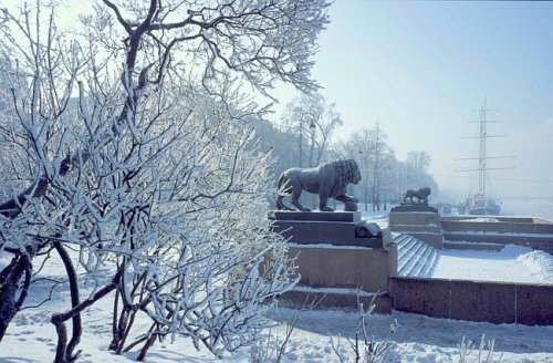  зима 2013 в Санкт-петербурге