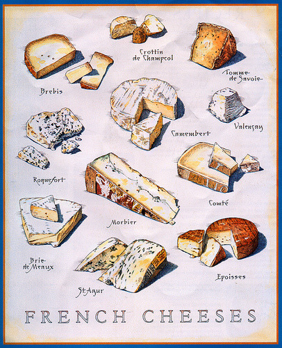 thefoodoffrance:

Know Your French Cheeses poster by Zeetz Jones
