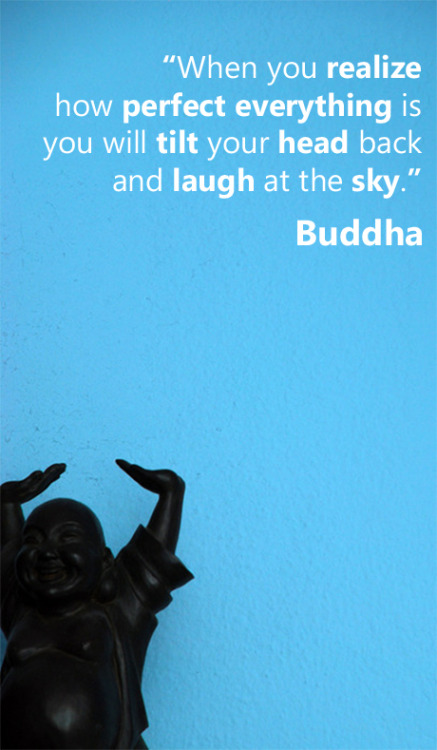 fuckyeahzenmind:  “When you realize how perfect everything is you will tilt you head back and laugh at the sky” - Buddha (via nisargam)