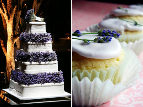 lavender cake cupcake lavender cake cupcake