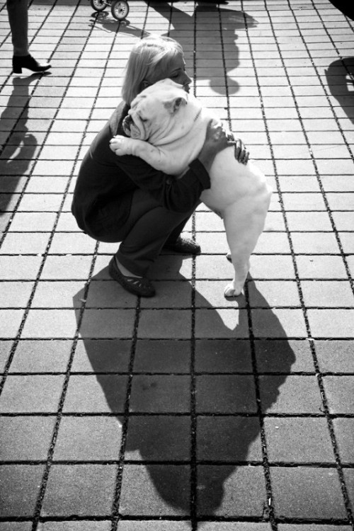 amnemonic:

istvic: … , dog, b&amp;w, hug, http://500px.com/photo/316605 uploaded by peasant
