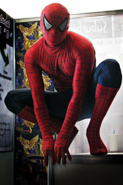 Spider-Man Cosplay - Photo Colection