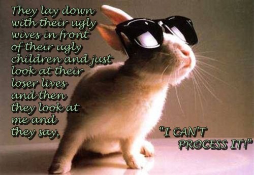 funny charlie sheen quotes. Bunnies with Charlie Sheen