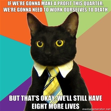 business cat. Love Business Cat.