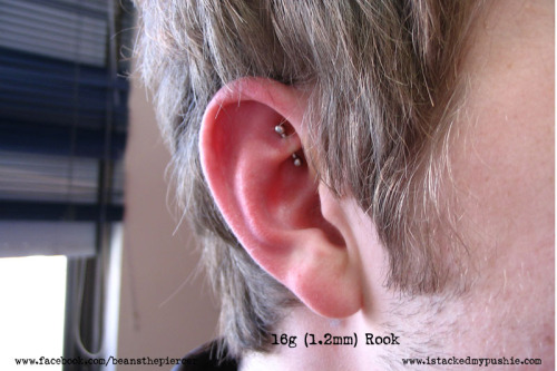 rook piercing by beansthepiercer on flickr click 