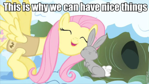my little pony friendship is magic fluttershy. My Little Pony, Friendship