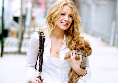 blake lively penny. (Penny is Blake Lively#39;s dog