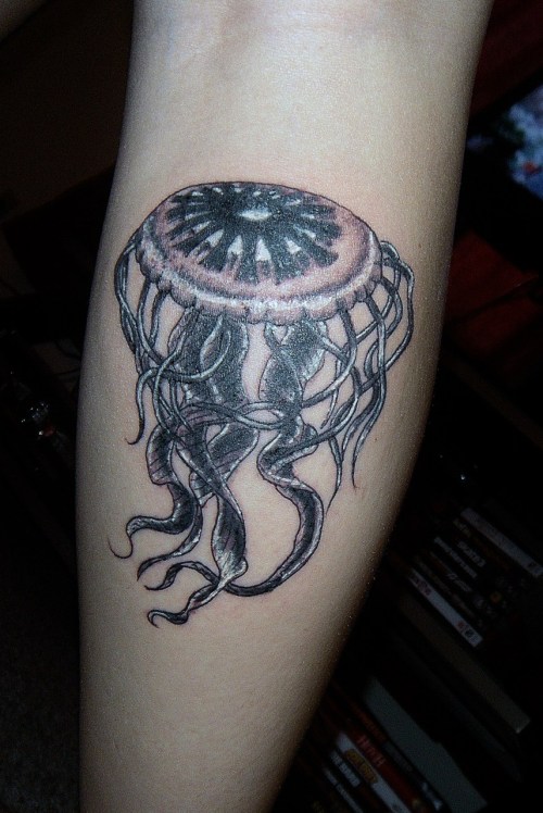 tattoos of jellyfish. Jellyfish on back of calf.