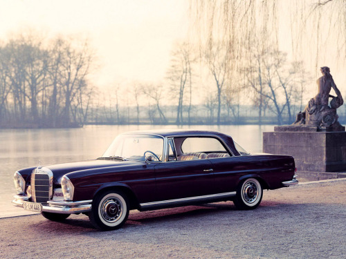 The epitome of class Mercedes W111 Coupe Posted 1 year ago 1841 notes