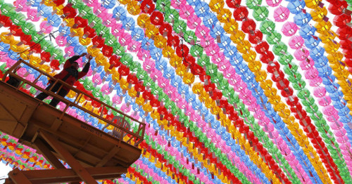 employee puts up lotus lanterns in a temple in seoul to celebrate Buddha’s birthday (석가탄신일 or seokga tansinil) on the 10th of may. the picture was taken by jo yong-hak for reuters. Check out more posts from this collaboration HERE.Check out the other collaborators’ blogs here.Check out The Korea Blog!