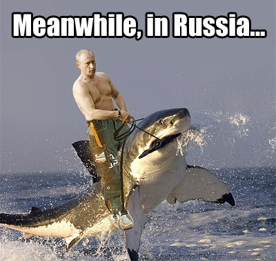 funny pics of sharks. lol, funny, russia, shark,