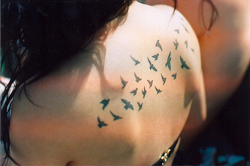 bird silhouette tattoo. get black ird silhouettes