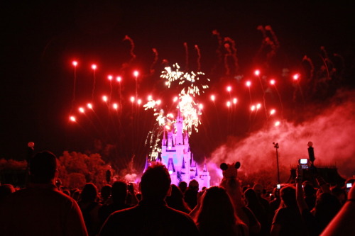 magic kingdom fireworks. The Magic Kingdom fireworks.