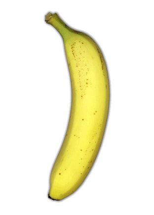 fuckyeahjustinandparamore gasolinerevenge This is a banana