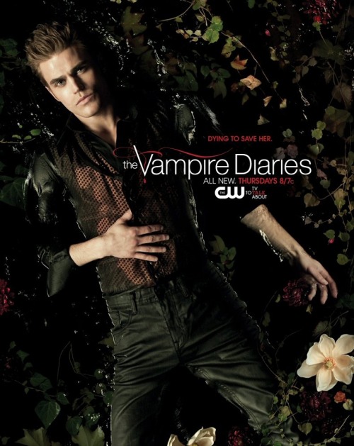 vampire diaries season 2 poster. Vampire Diaries#39; Season 2