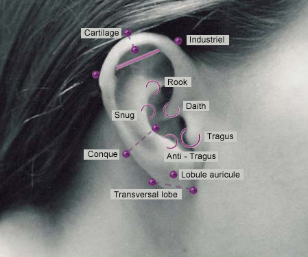 ear piercings names and pictures. Ear piercing names/diagram, as requested by anon.