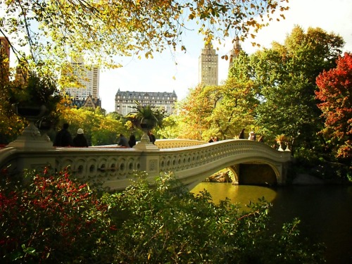 bow bridge in central park nyc. 162 notes. Bow Bridge with San