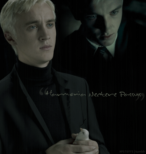 Tagged gif Draco Malfoy HalfBlood Prince Draco 