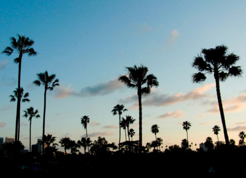 PHOTOGRAPHY | Los Angeles Sunset x Terry Richardson