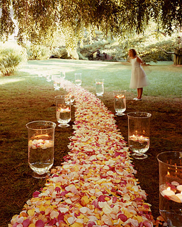 RoseCovered Aisle Pink and Red Wedding Decorations and Favors Plan Your 