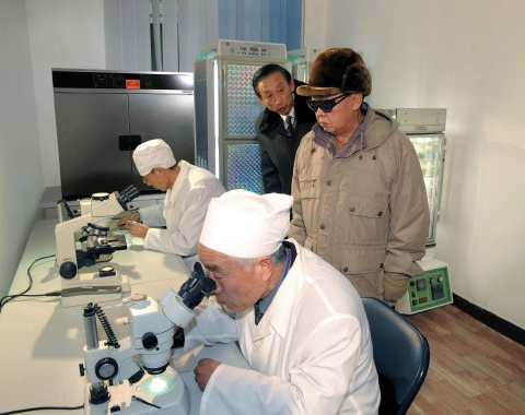 looking at microscopes