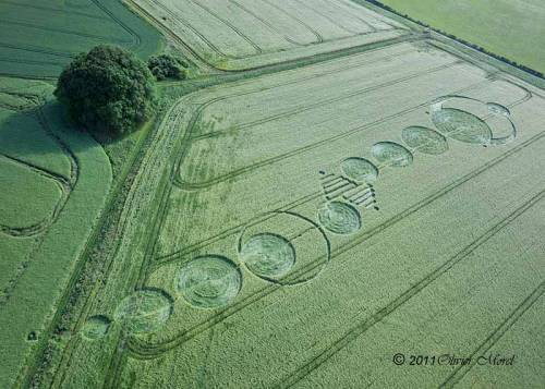 Crop circle at the Sanctuary, Avebury, Wiltshire. Reported 28 May 2011. (via cropcircleconnector) As an artist and designer I’m used to analysing pictures. This one was quite easy for me to crack. In my opinion this crop circle tells the story of Niburu coming. From left to right: First Niburu flies into our Solar system and passes in front of the Sun (the big circle line). According to the measurements of NASA this passing will occur on 25 September.  Because of the size of Niburu (approx. the size of Jupiter), this passing in front of the sun will cause a ‘black out’ on Earth. After this black out the Pole shift will occur (illustrated with the two triangel shaped magnets). The last part shows Niburu coming closer to Earth. According to NASA this will happen around the 20 October 2011. The last image shows that both magnetospheres, of Niburu & planet Earth, will be joined as one, in Universal consciousness.  ——- Remember that we influence the magnetosphere on Earth with our own hearts! The more we are in our hearts (with Love & compassion), the stronger and more flexible the magnetosphere will become. So please raise your consciousness to a higher level during this last Ninth wave!